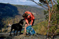 Trekking z psem