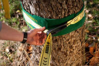 slackline3