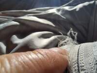 NEJ_perove_bundy (10)