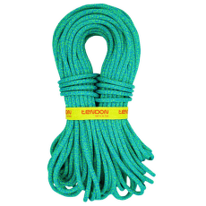 Lina Tendon Anniversal 9,5 - Complete shield Green-Blue