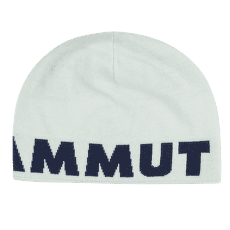 Czapki Mammut Mammut Logo Beanie 1308 silver sage-marine