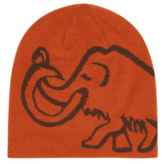 Czapki Mammut Mammut Logo Beanie Reversible autumn larice-soil