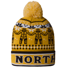 Czapki The North Face Ski Tuke SUMMIT GOLD HIM SUIT JA