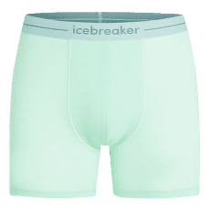 Bokserki Icebreaker Anatomica Boxer Men MINT