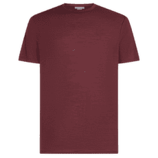 Koszulka z krótkim rękawem Icebreaker Merino 150 Tech Lite III SS Men PORT