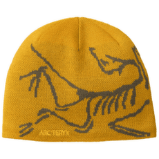 Czapki Arcteryx Bird Head Toque Nucleus / Mongoose