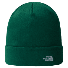 Czapki The North Face NORM BEANIE EVERGREEN