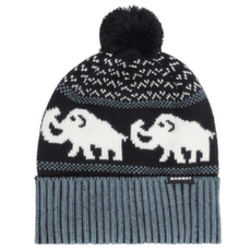Czapki Mammut Mammut Retro Beanie 00808 black-strata