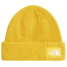 Czapki The North Face SALTY LINED BEANIE NO7 PIGMENT YELLOW