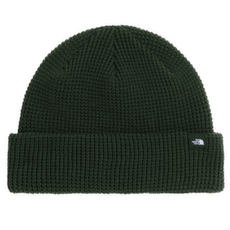 Czapki The North Face TNF FISHERMAN BEANIE NLW BOTTLE GREEN
