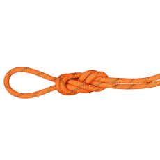 Lina Mammut 8.0 Alpine Dry Rope 2284 vibrant orange-boa
