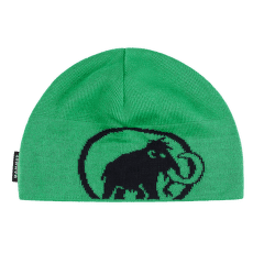 Czapki Mammut Tweak Beanie (1191-01352) 40313 pinea-black