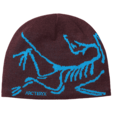 Czapki Arcteryx Bird Head Toque Ultima / Aquaculture