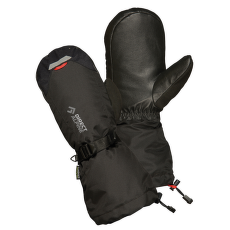 Rękawice Direct Alpine Thermo Mitt black