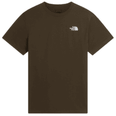 Koszulka z krótkim rękawem The North Face BOX NSE CELEBRATION REGULAR SHORT SLEEVE MEN NEW TAUPE GREEN