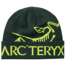 Czapki Arcteryx Bird Word Toque Dark Jade / Mantis