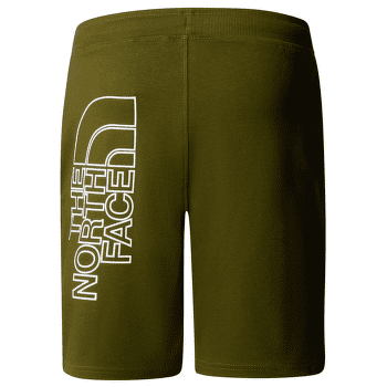 Szorty The North Face Graphic Short Light Men FOREST OLIVE