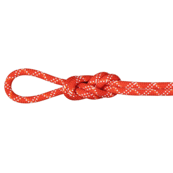 Lina Mammut 9.5 Gym Classic Rope 3790 raspberry-white