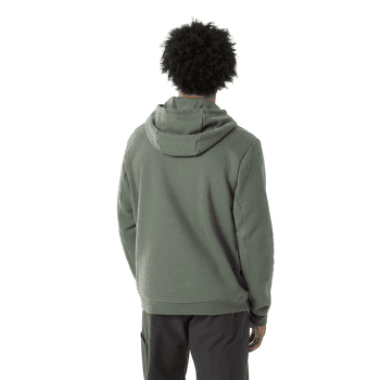 Bluza Arcteryx Emblem Fleece Hoody Men Forage