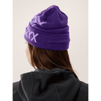 Czapki Arcteryx Bird Word Toque Alpine Rose / Bliss