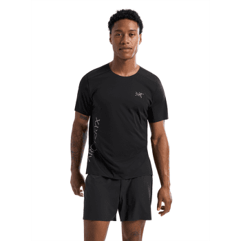 Koszulka z krótkim rękawem Arcteryx Norvan Downword Logo SS Men Arctic Silk