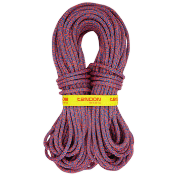 Lina Tendon Anniversal 9,5 - Complete shield Orange-Blue