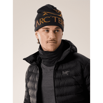 Czapki Arcteryx Bird Word Toque Alpine Rose / Bliss