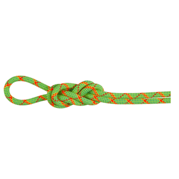Lina Mammut 8.0 Alpine Core Protect Dry Rope 1287 halo-vibrant orange