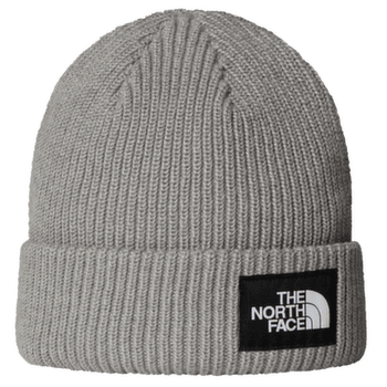Czapki The North Face SALTY LINED BEANIE TNFLIGHTGREYHTR