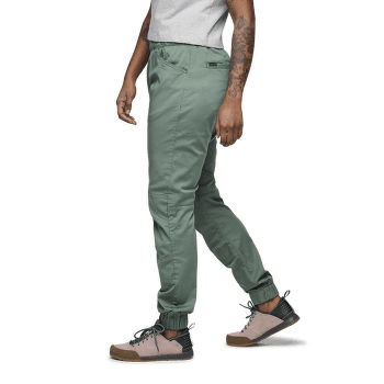 Spodnie Black Diamond Notion Pants Women Fig