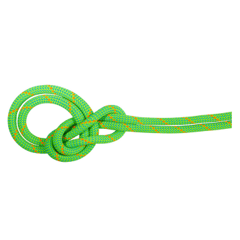 Lina Mammut 9.5 Crag Eco Dry Rope 40315 neon green-ocean