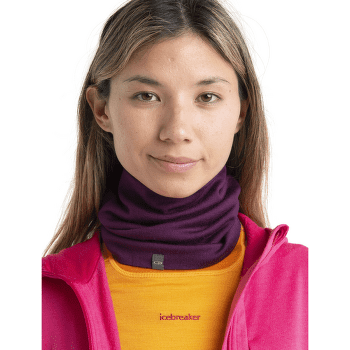 Szalik Icebreaker Adult Apex Chute (103458) BAJA