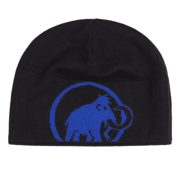 Czapki Mammut Mammut Logo Beanie 50644 eiger blue-black