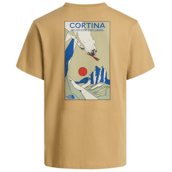 Koszulka z krótkim rękawem The North Face Mountain Celebration Regular SS Tee - Graphic Men Khaki Stone