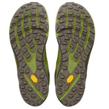 Buty Altra Timp 6 GTX Men 88M IGUANA/SILVER/TARMAC