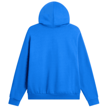 Bluza The North Face EVOLUTION SIMPLE DOME REGULAR HOODIE MEN NLQ ACTIVE BLUE