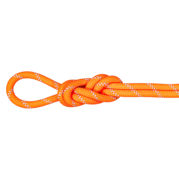 Lina Mammut 9.5 Alpine Dry Dry Standard 11256