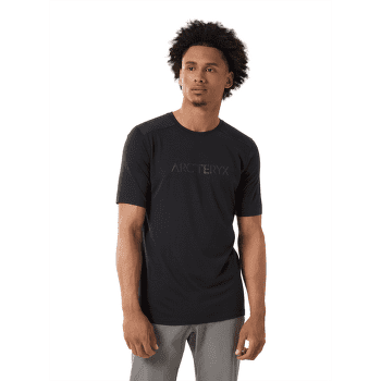 Koszulka z krótkim rękawem Arcteryx Ionia Merino Wool Arc´Word Logo SS Men Solitude Heather