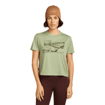 Czapki Icebreaker Merino All Day Toque Beanie GRITSTONE HTHR-013