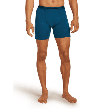 Bokserki Icebreaker Anatomica Long Boxers Men DK LODEN