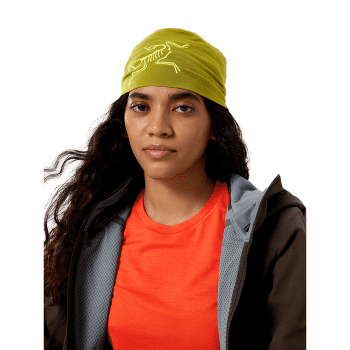 Czapki Arcteryx Satoro Merino Toque Mantis