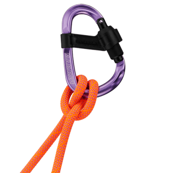 Karabinek wspinaczkowy Mammut Smart HMS 2.0 Screwgate Screw Gate alpine calamint