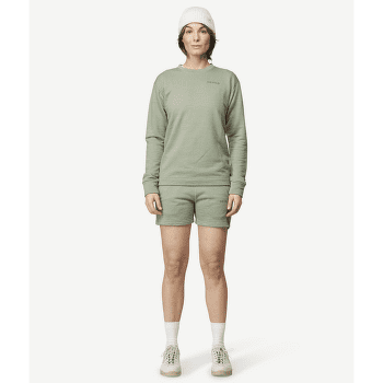 Koszulka z długim rękawem Devold Everyday Crew Women FOG