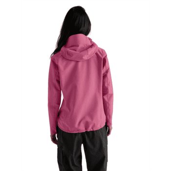 Kurtka Arcteryx Gamma Hoody Women Lt Renegade