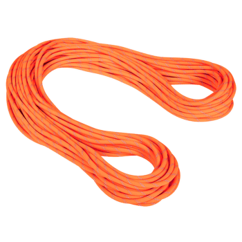 Lina Mammut 9.5 Alpine Dry Dry Standard 11256