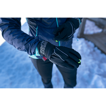 Rękawice Direct Alpine Express Plus Glove black
