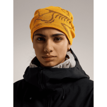 Czapki Arcteryx Bird Head Toque Sea Salt / Habitat