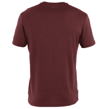 Koszulka z krótkim rękawem Icebreaker Merino 150 Tech Lite SS Tee Polar Paddle Men PORT