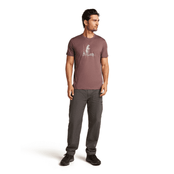 Koszulka z krótkim rękawem Icebreaker Merino 150 Tech Lite SS Tee Polar Paddle Men PORT