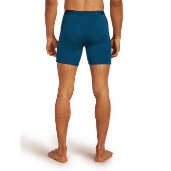 Bokserki Icebreaker Anatomica Long Boxers Men DK LODEN